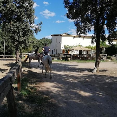 Casa Rural, Can Cirera Seriñá Extérieur photo