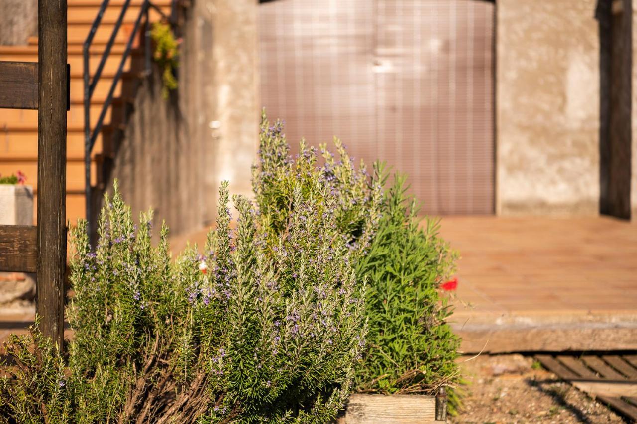 Casa Rural, Can Cirera Seriñá Extérieur photo